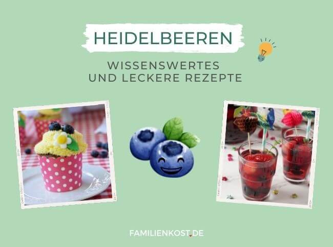 Heidelbeere - alles zur kleinen Superbeere Heidelbeere - alles zur kleinen Superbeere