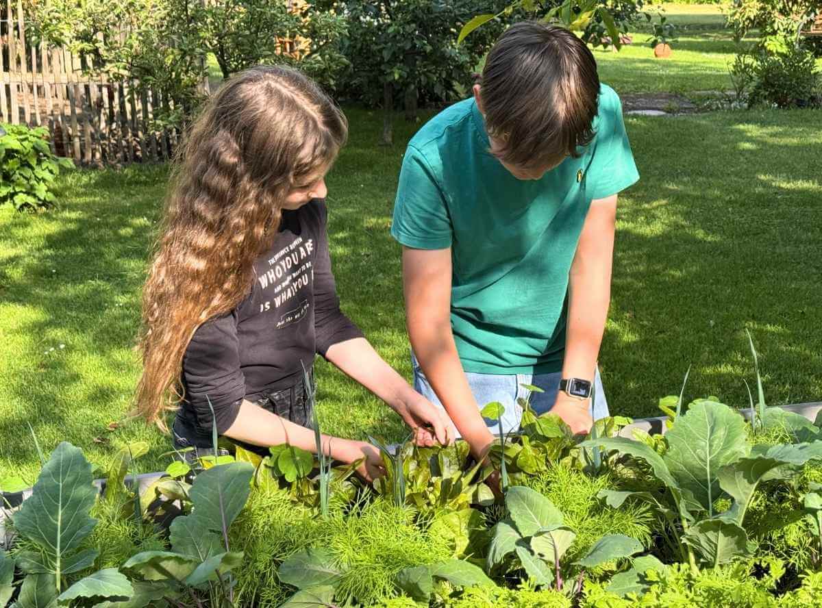 Hochbeet sinnvoll Kinder Hochbeet sinnvoll Kinder