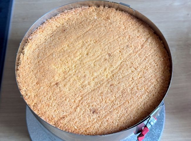 Hohe Torte backen