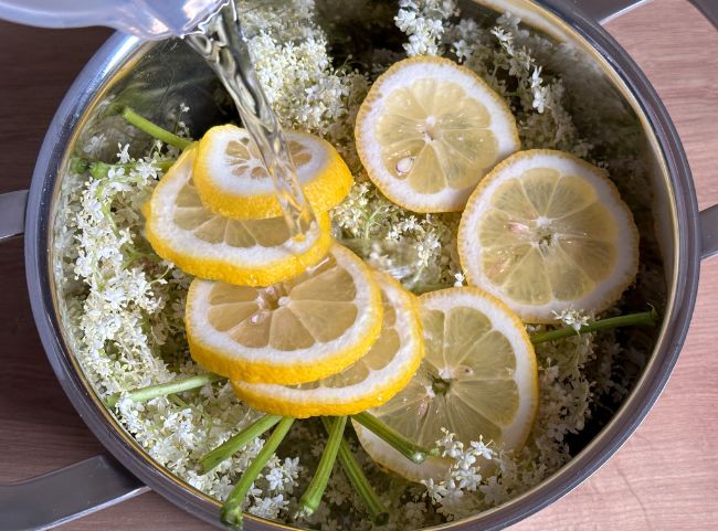 Holunderblüten-Wasser für Marmelade