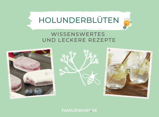 Holunderbüten - lecker & gesund