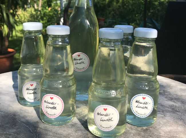 Holunderblütensirup selbst gemacht Holunderblütensirup selbst gemacht