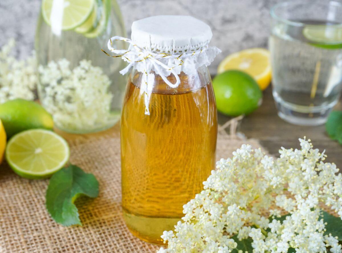 Holunderblütensirup selber machen