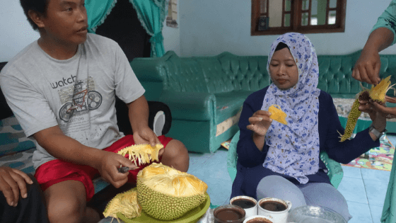 Jackfruit Java Indonesien Jackfruit Java Indonesien