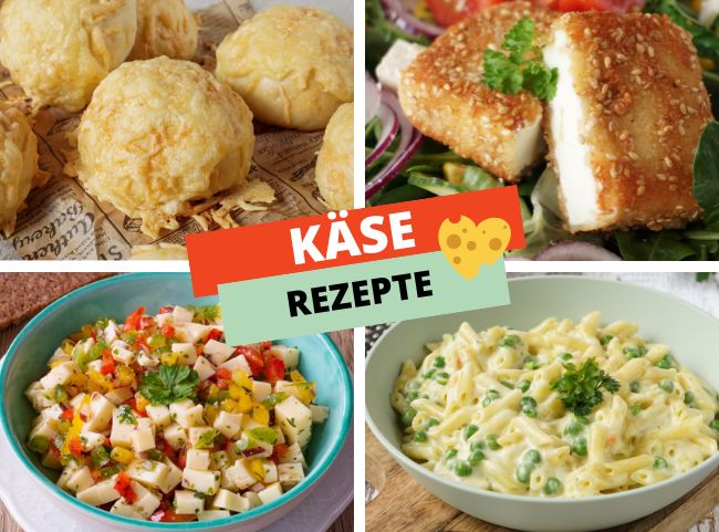 Käse Rezepte