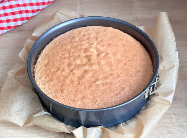 Katzentorte Kuchen backen