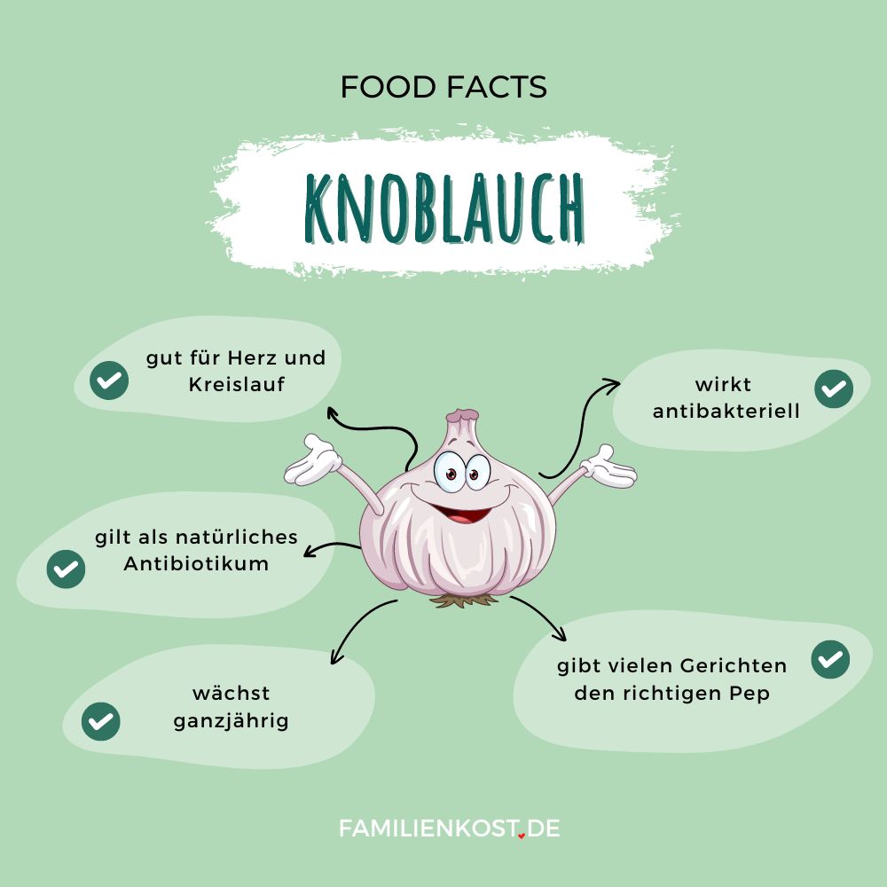 Knoblauch Wirkung