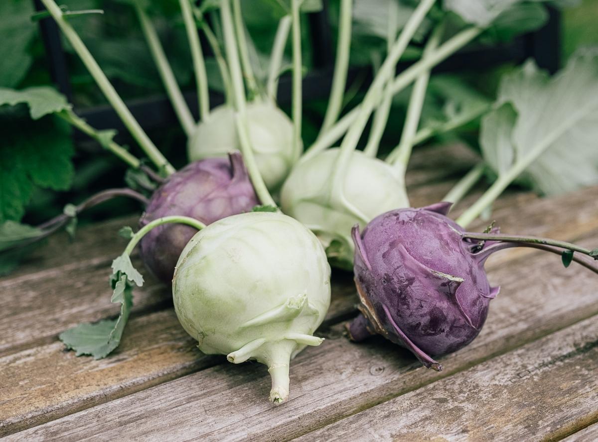 Kohlrabi: Gesunde Lieblingsknolle für die ganze Familie Kohlrabi: Gesunde Lieblingsknolle für die ganze Familie