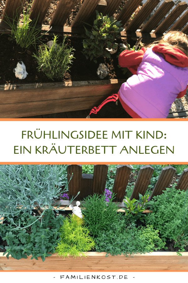 Kräutergarten anlegen