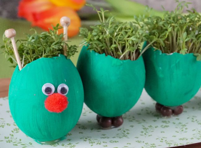 Kresse-Eier als Raupe basteln Kresse-Eier als Raupe basteln