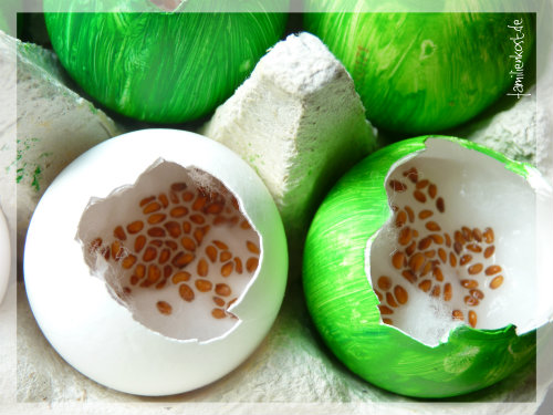 Kresse pflanzen als Geschenk zu Ostern Kresse pflanzen