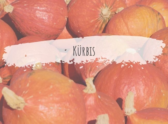 Kürbis – der Star der Herbstküche im Überblick
