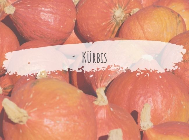 Kürbis – der Star der Herbstküche im Überblick Kürbis – der Star der Herbstküche im Überblick