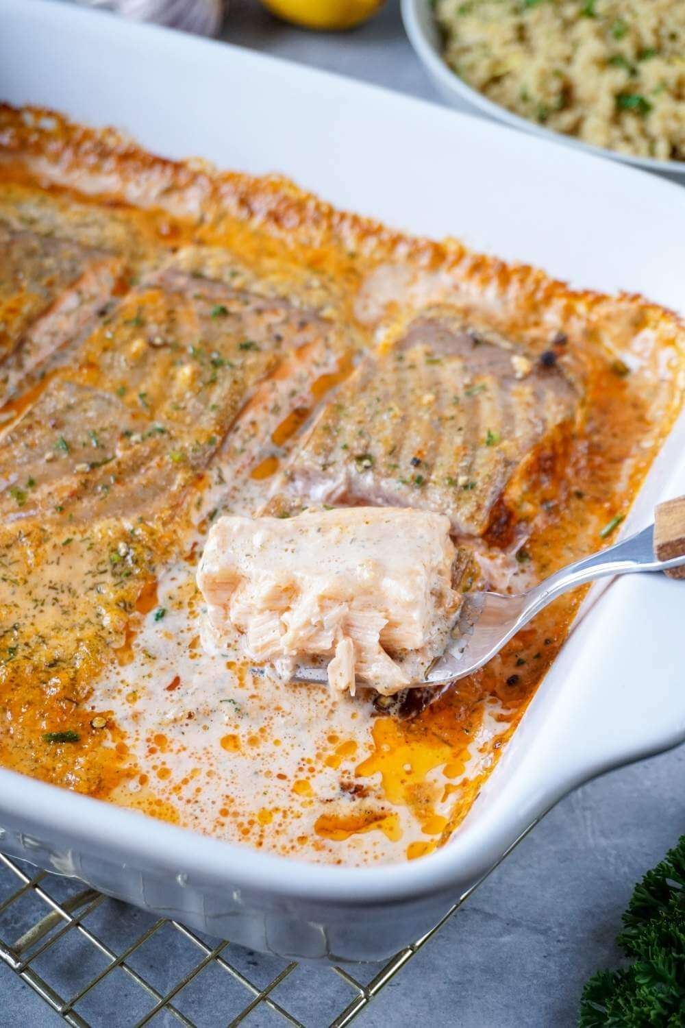 Lachs Sahne Gratin – einfach cremig & so lecker Lachs Sahne Gratin – einfach cremig & so lecker