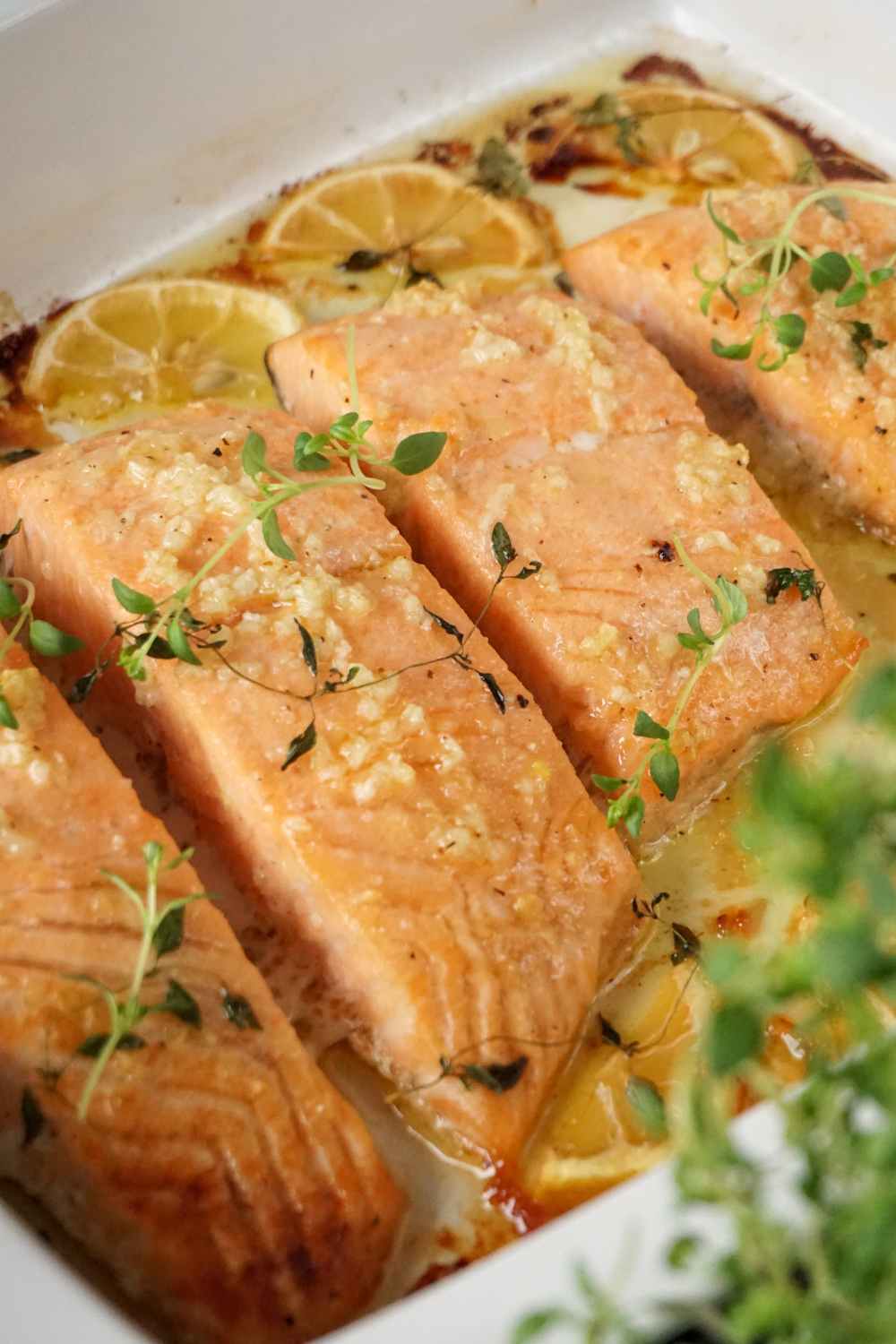 Lachs im Ofen garen Rezept Lachs in der Auflaufform aus dem Ofen