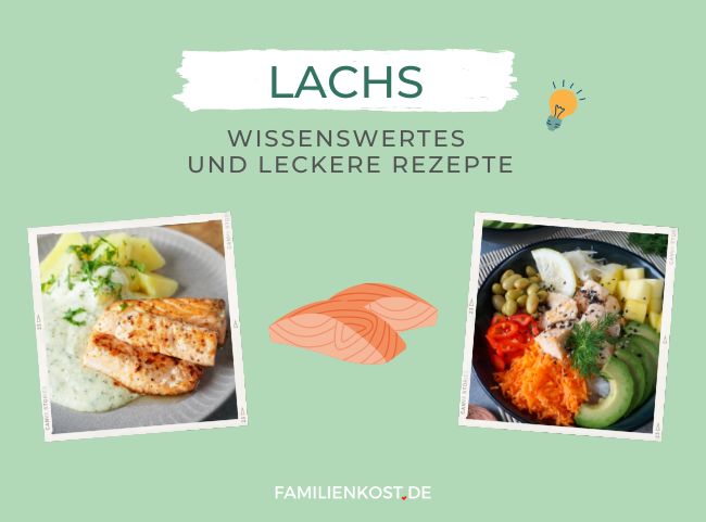 Lebensmittel im Überblick: Lachs