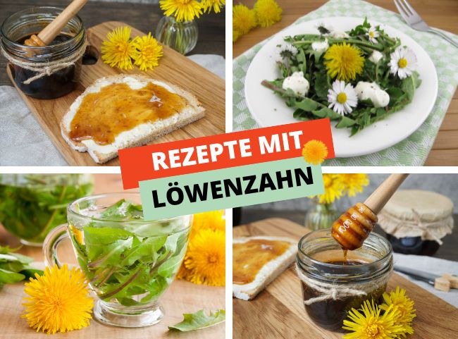 Löwenzahn Rezepte