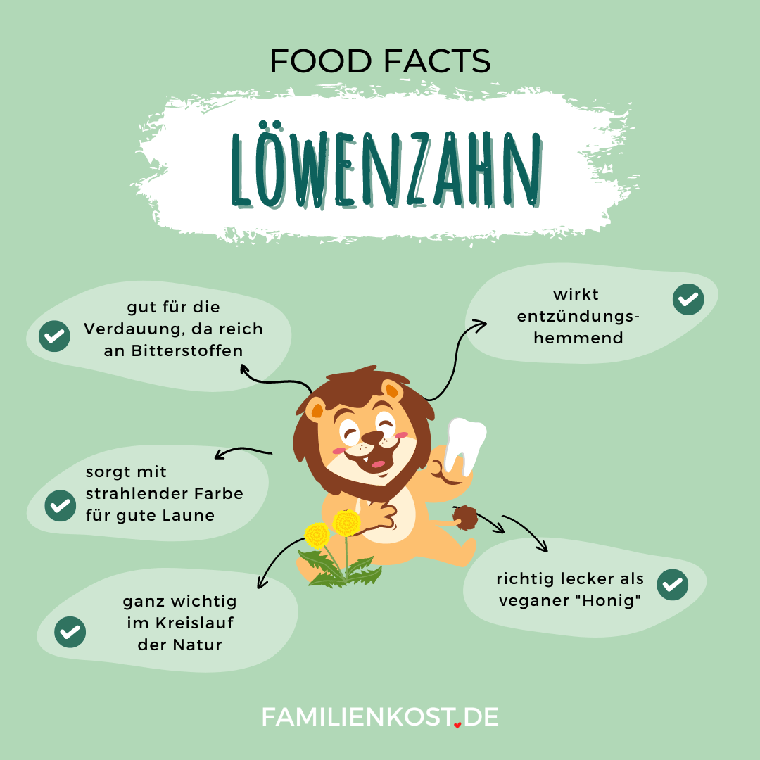 Löwenzahn Wirkung Löwenzahn Wirkung