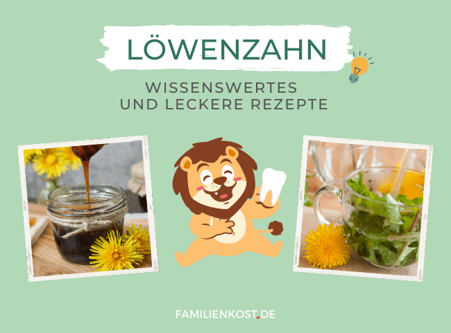 Löwenzahn - Fakten und Rezepte