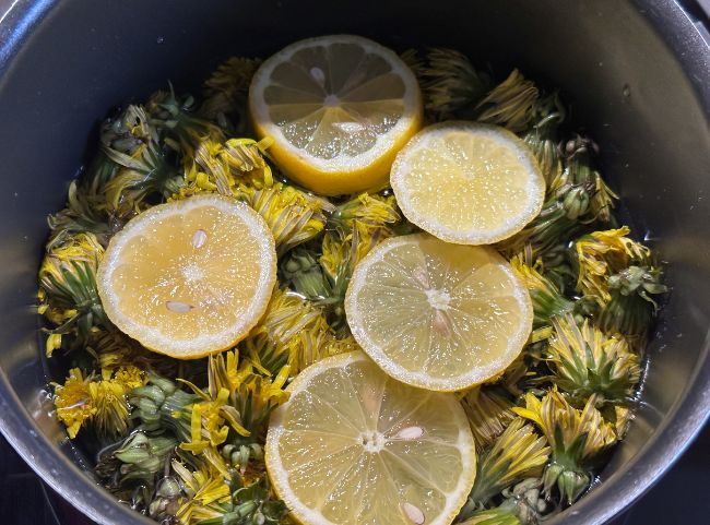 Löwenzahn für Honig kochen