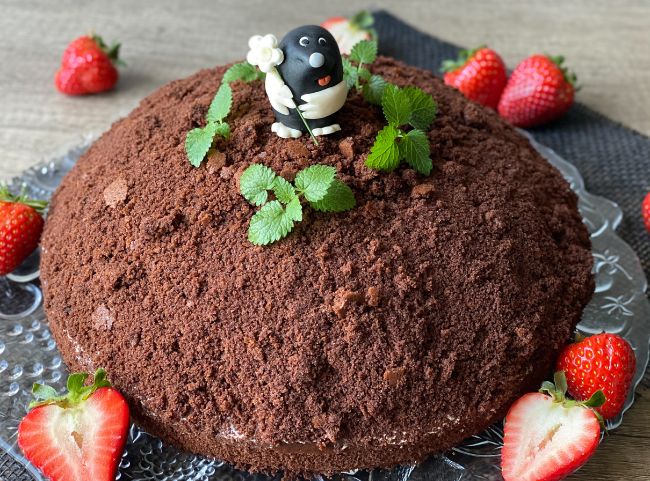 Maulwurfkuchen Deko Maulwurfkuchen Deko