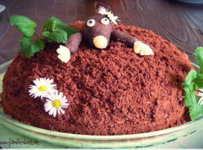 Maulwurfkuchen Kuppel Maulwurfkuchen Kuppel