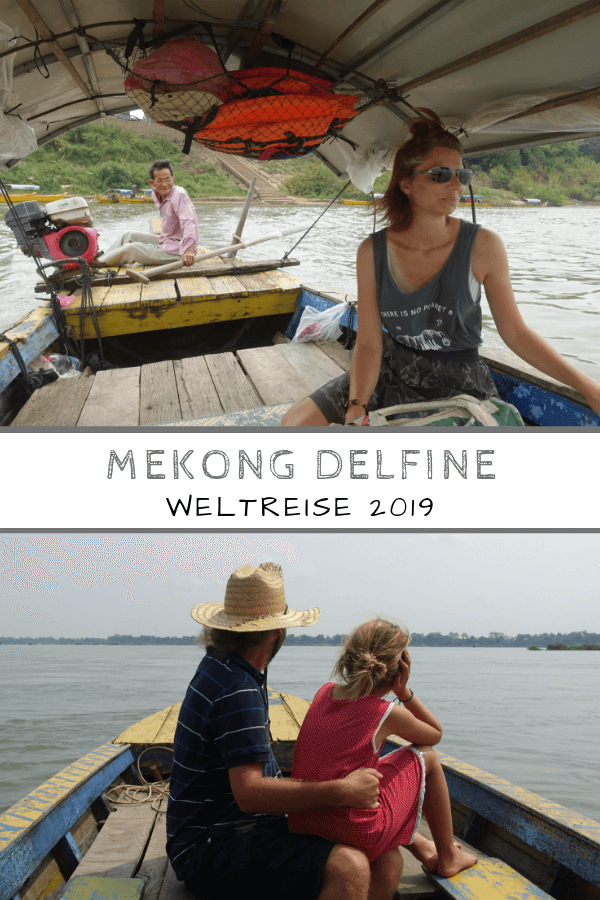 Mekong Delfine