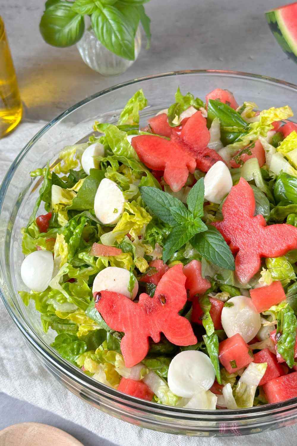 Melone Mozzarella Salat