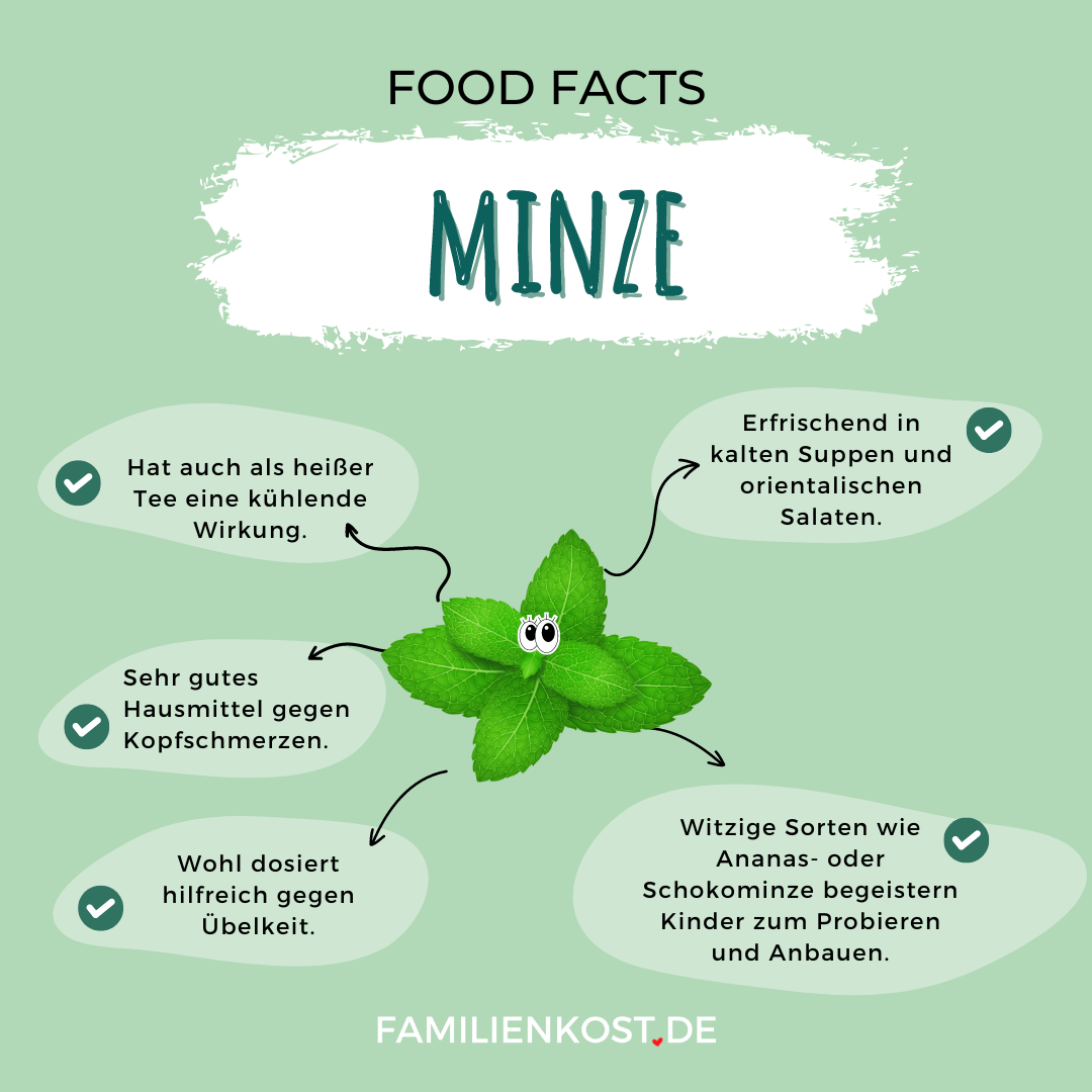 Minze gesund Minze gesund