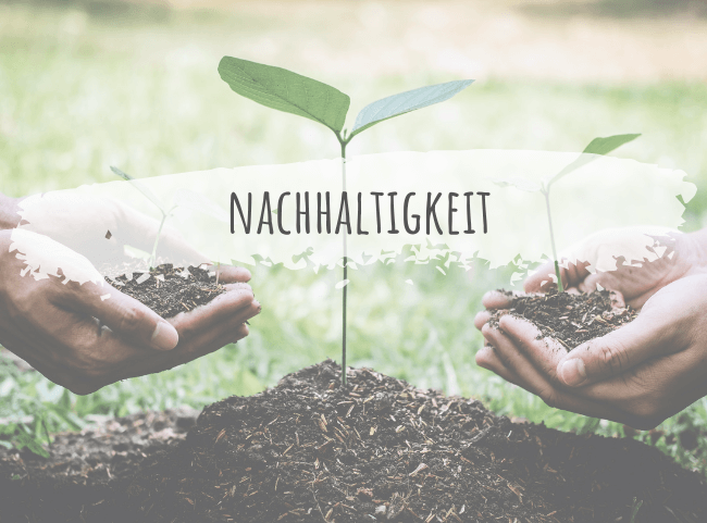 Nachhaltigkeit im Familienleben