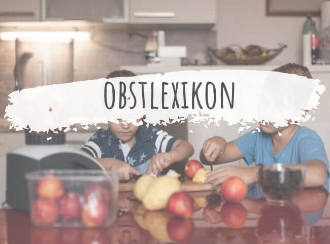 Das Obstlexikon | Empfehlungen für Obst für Kinder Das Obstlexikon | Empfehlungen für Obst für Kinder
