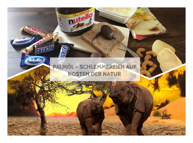 Palmöl: ungesund und klimaschädlich Palmöl: ungesund und klimaschädlich