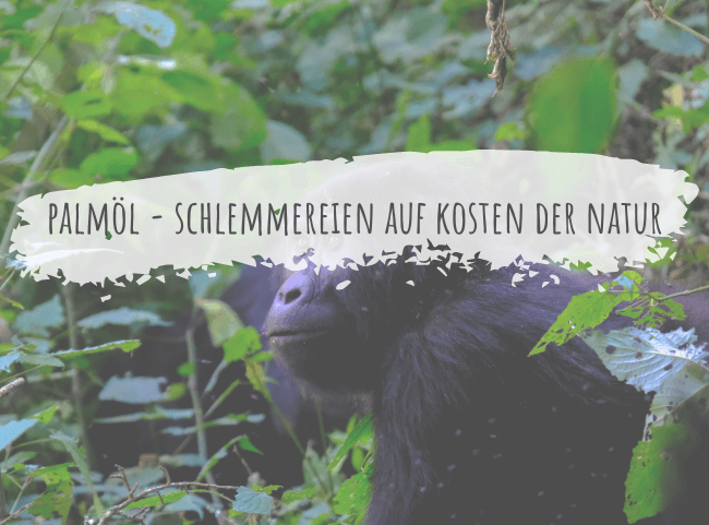 Palmöl: ungesund und klimaschädlich Palmöl: ungesund und klimaschädlich