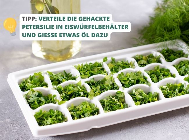 Petersilie Eiswürfelbehälter einfrieren Petersilie Eiswürfelbehälter einfrieren