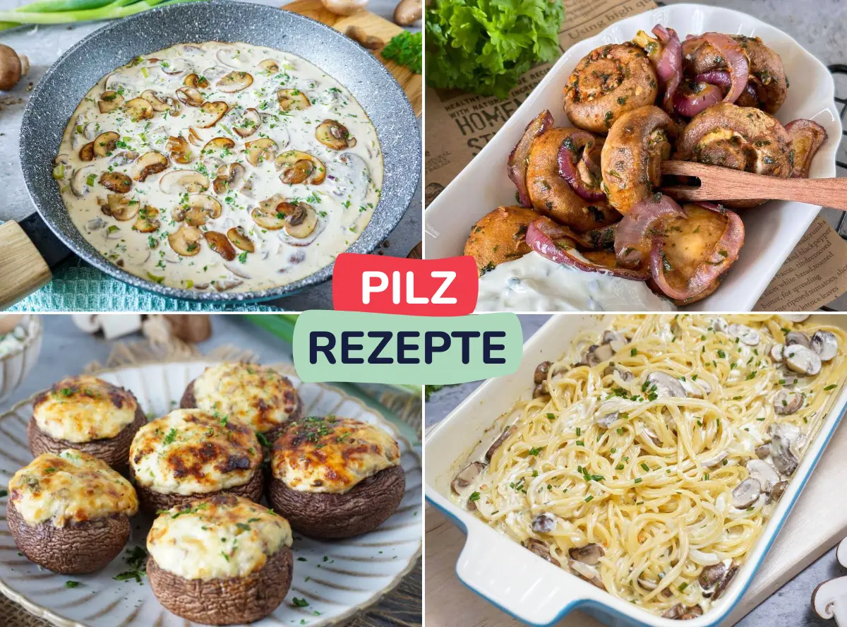 Leckere Pilz Rezepte für Kinder & Familie