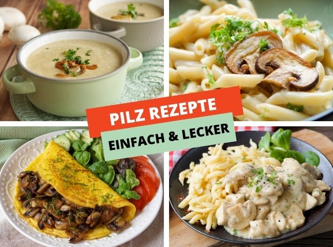 Pilz Rezepte für Familien und Kinder