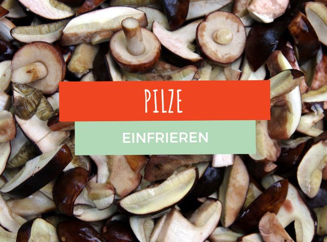 Pilze einfrieren