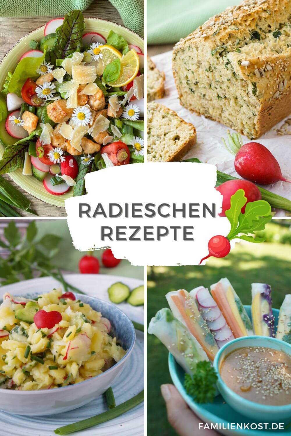 Radieschen Rezepte