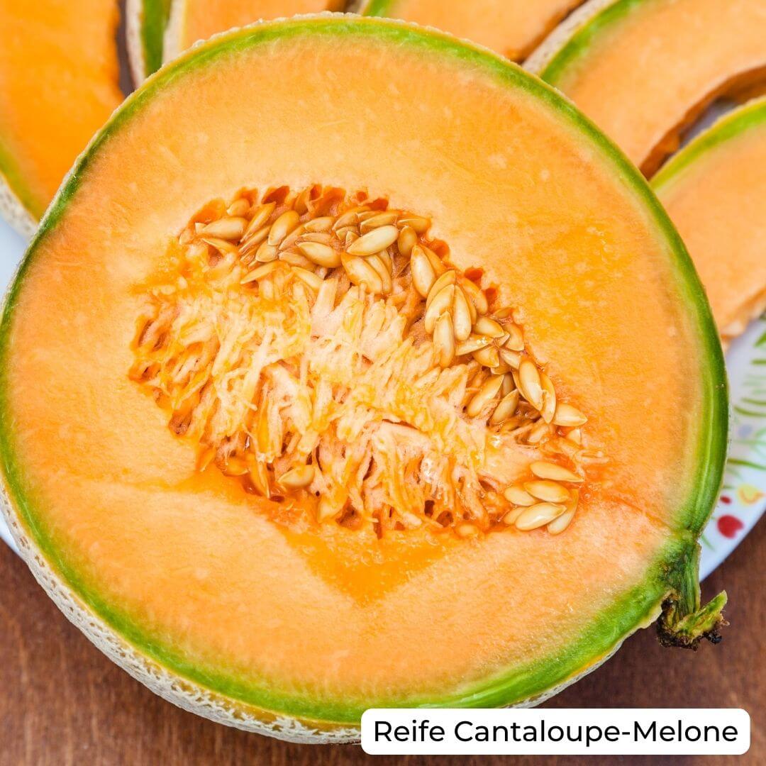 Reife Cantaloupe Melone erkennen