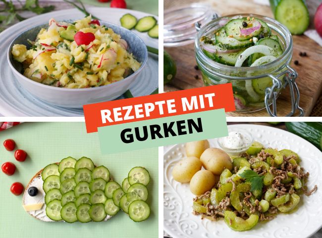 Gurken Rezepte