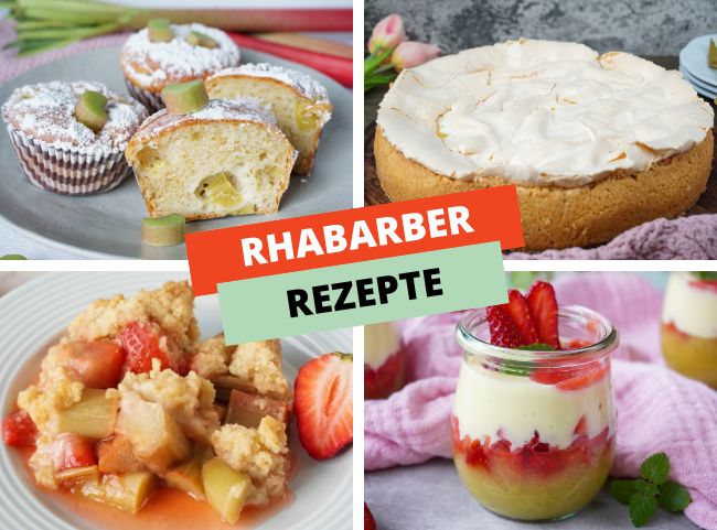 Rhabarber Rezepte