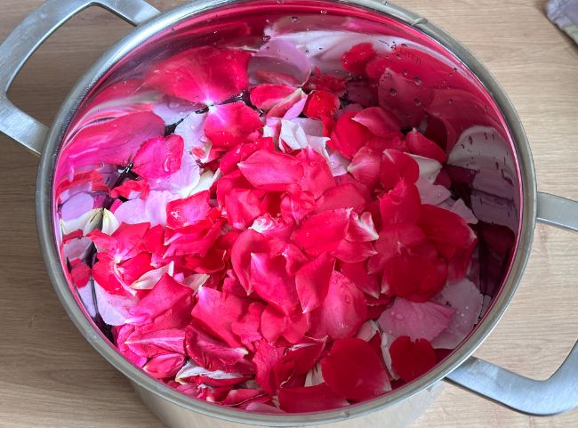 Rosenblüten für Rosengelee waschen