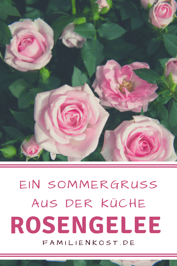 Rosengelee - ein besonderes Marmeladenrezept Rosengelee - ein besonderes Marmeladenrezept