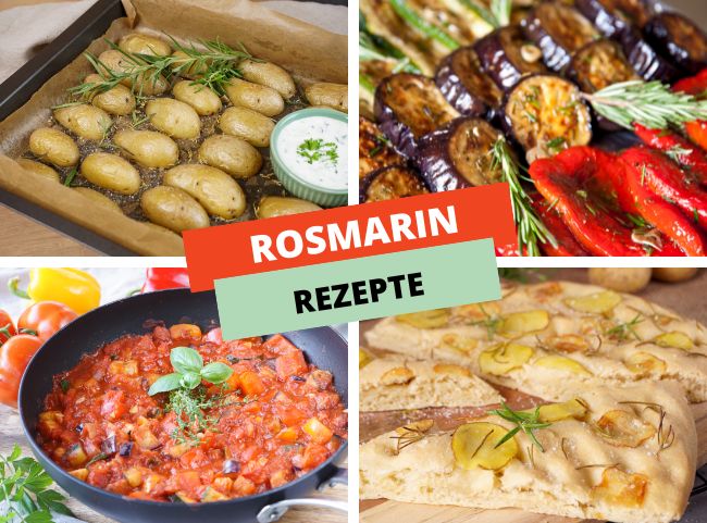 Rosmarin Rezepte