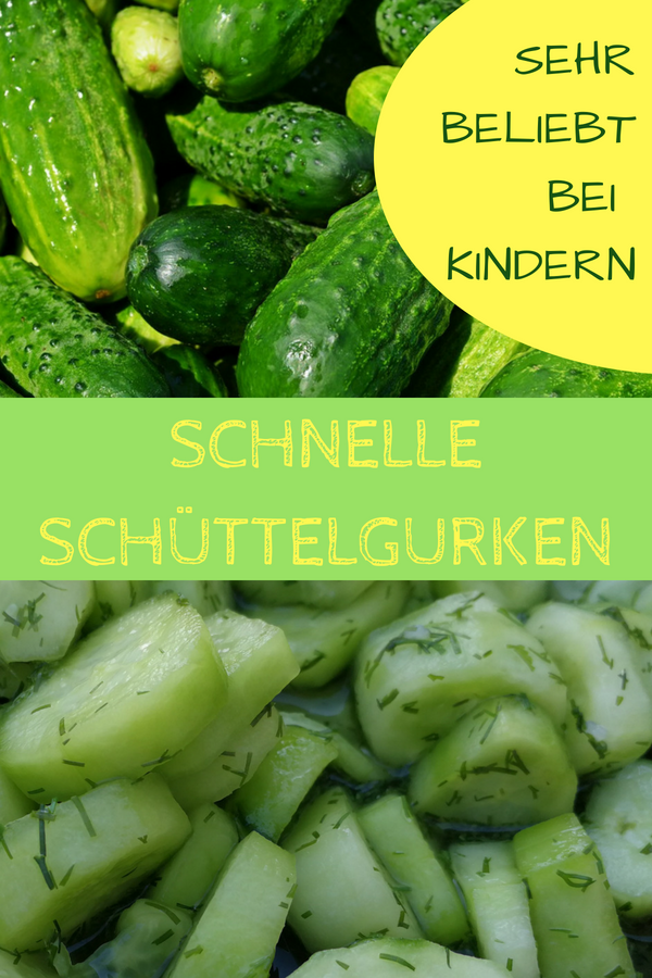 Schüttelgurken - Schnellgurken Rezept Schüttelgurken - Schnellgurken Rezept
