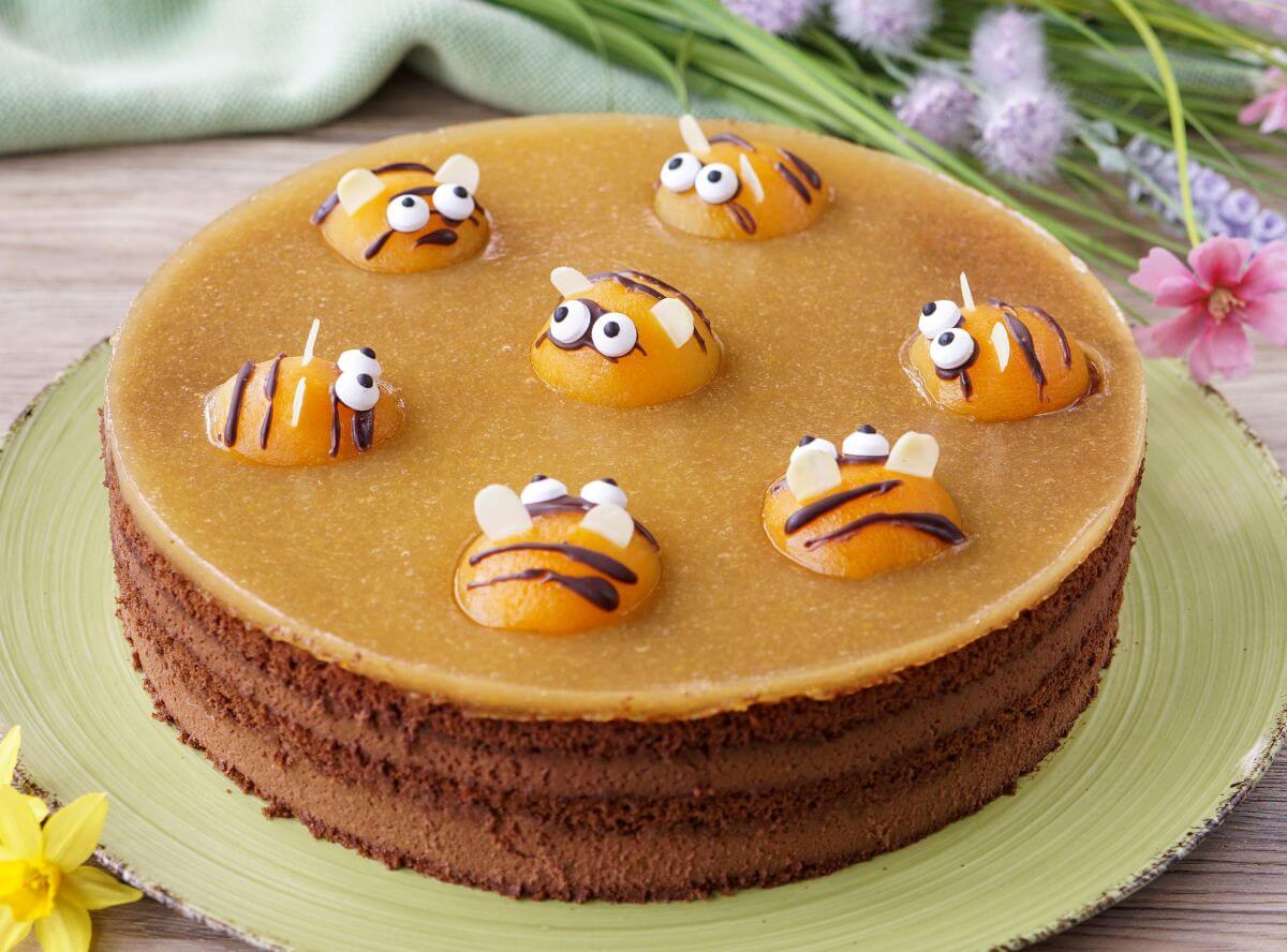 Schoko-Sahne-Torte Aprikosen-Bienen