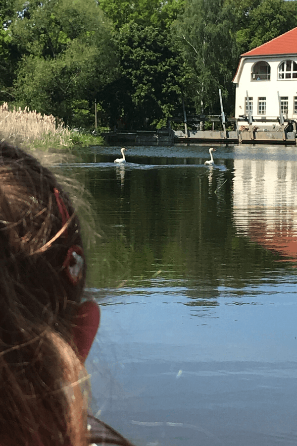 Schlauchboot fahren Oberlausitz Schwäne Schlauchboot fahren Oberlausitz Schwäne