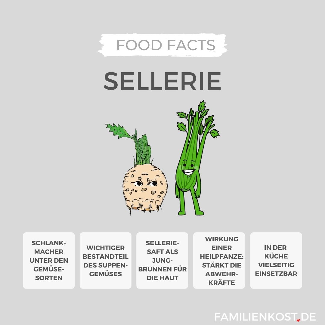 Sellerie
ist gesund für Kinder Sellerie ist gesund für Kinder