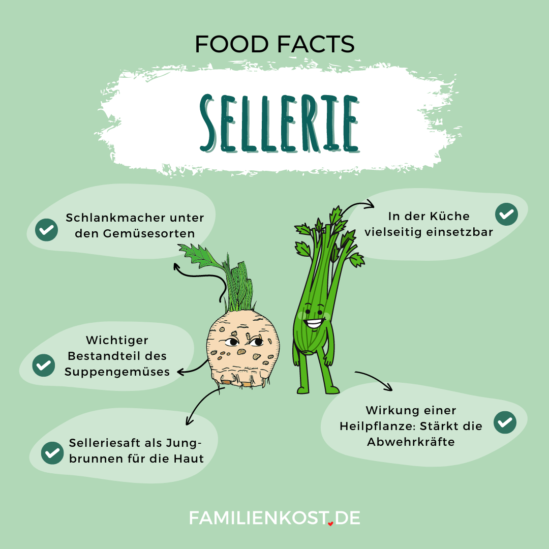 Sellerie
ist gesund für Kinder Sellerie ist gesund für Kinder