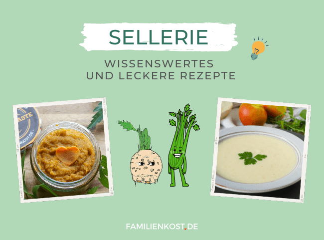 Sellerie: So lecker ist das Knollengemüse auch für Kinder